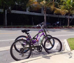 Invest in a good bike and you'll be whizzing around the neighborhood in no time.