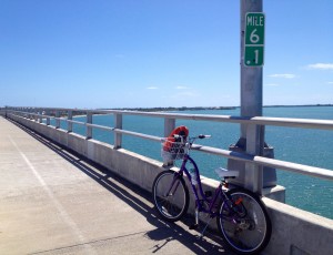 If you're feeling fit you an cycle across and visit Key Biscayne and Bill Baggs State Florida Park