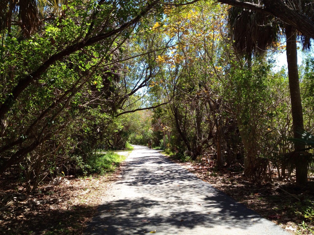 There are many state park trails and cycling paths you can explore with your bike.