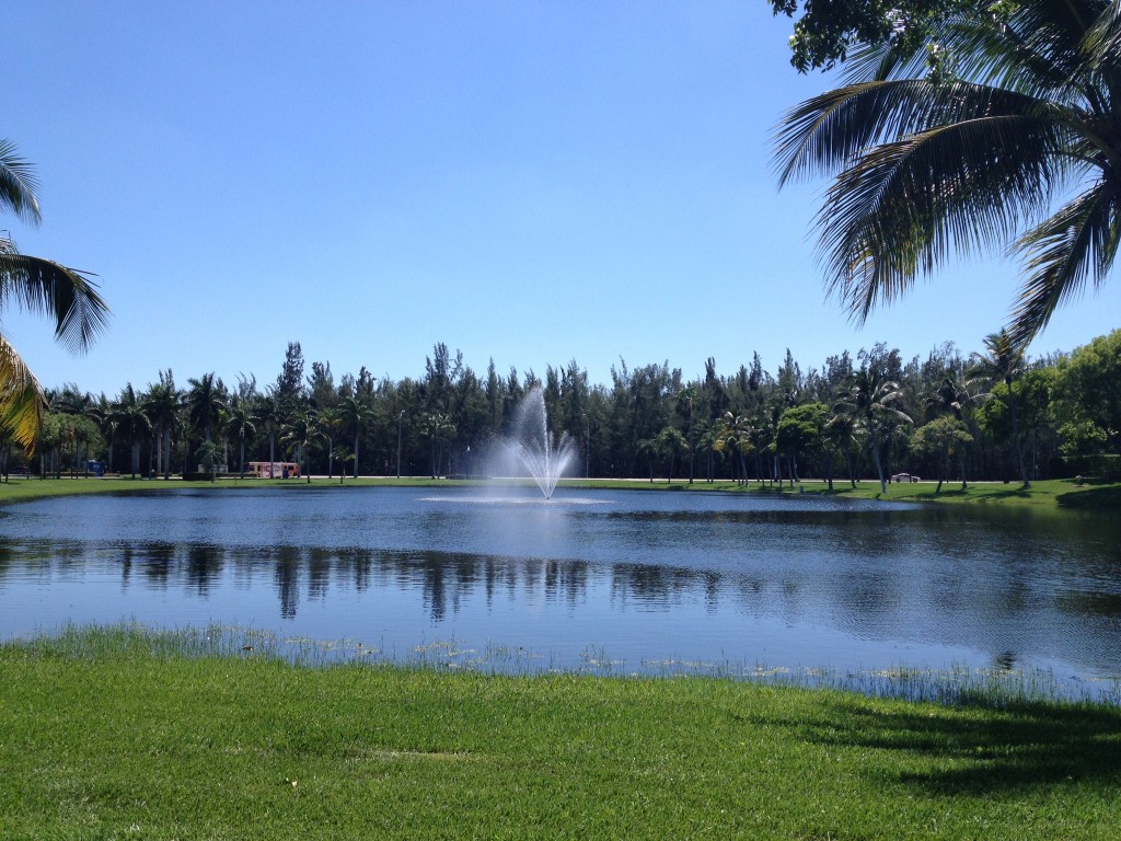 A watery oasis near Oleta State Park, FL