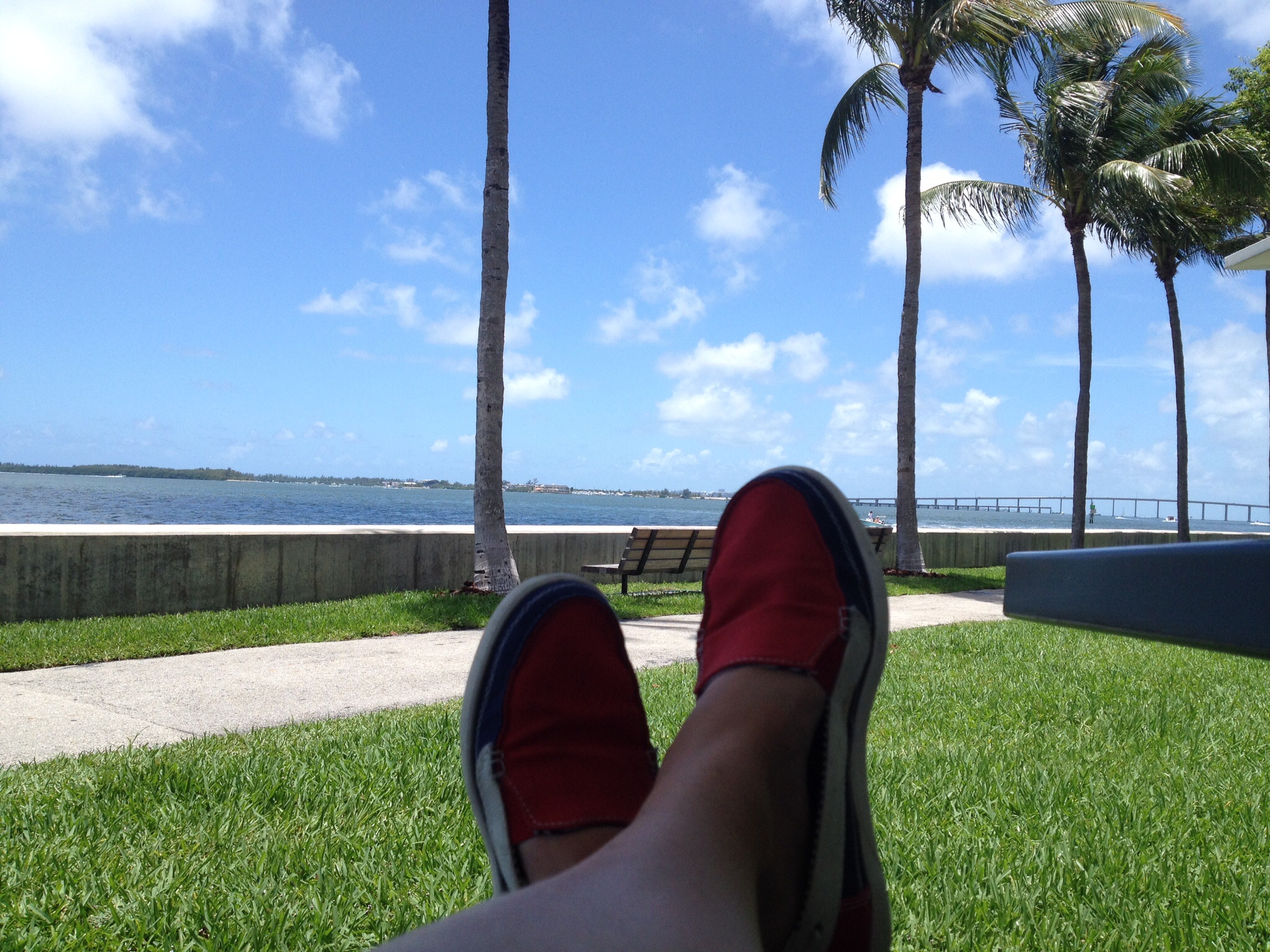 Relaxing by the bay, under the palm trees after a cycle.