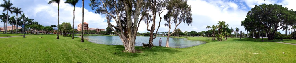 Amazing lake to sit and relax - these birds have picked a great spot to live